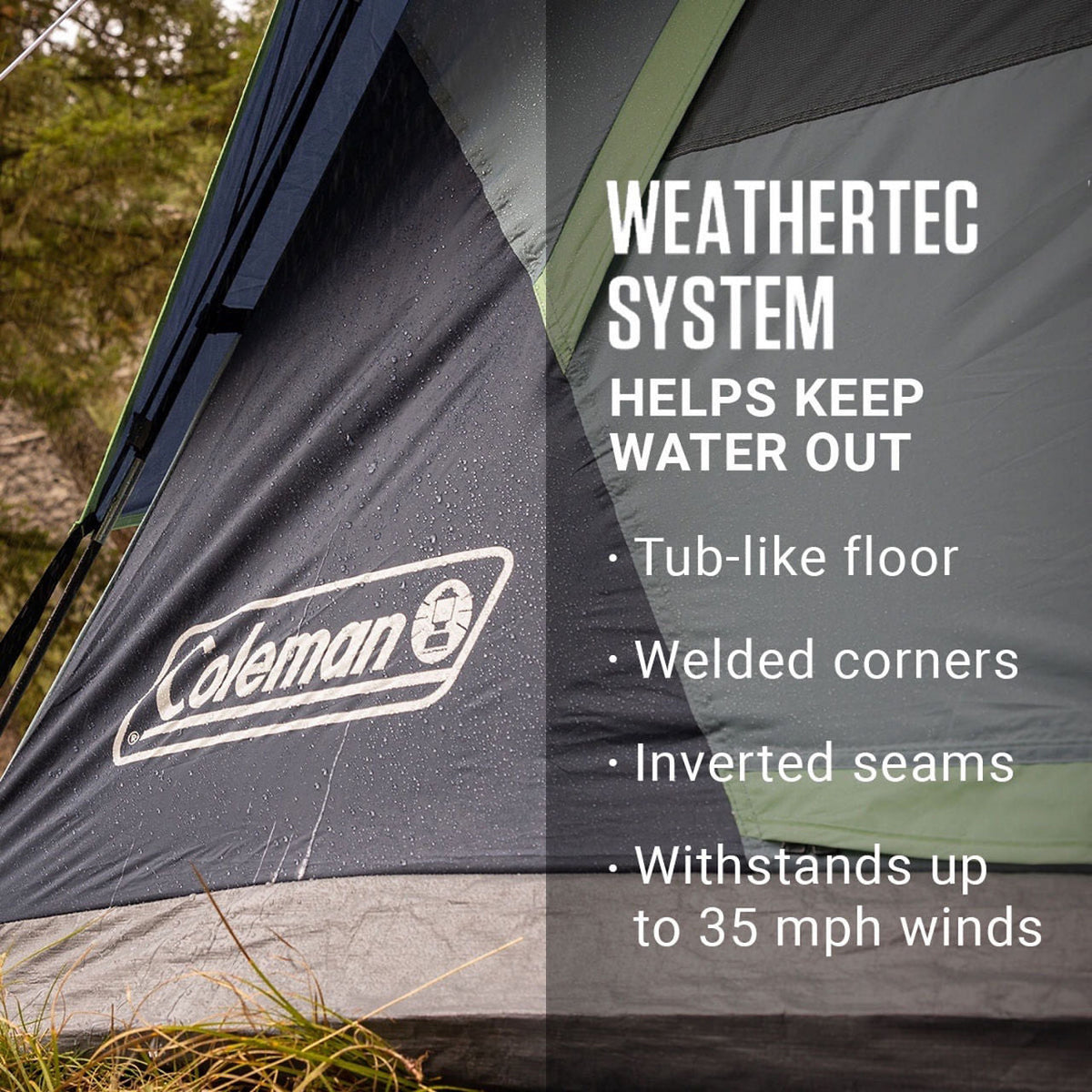 Coleman 4-Person Skydome™ Camping Tent | 8 ft x 7 ft x 4 ft | Blackberry